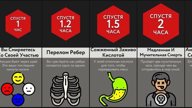 Если Вас Проглотит Змея? смотреть онлайн