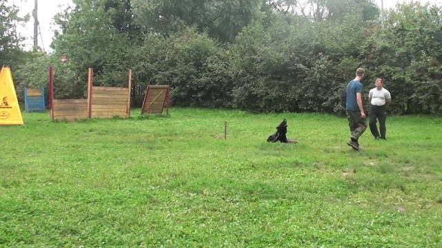 Охрана вещи смотреть онлайн