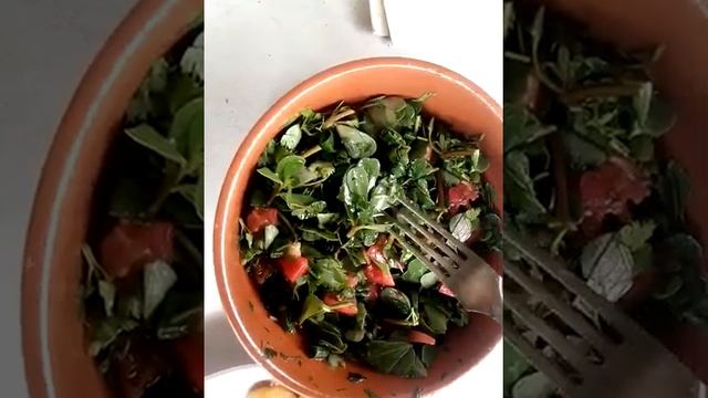 Ем сорняки)) Портулак идёт в дело смотреть онлайн