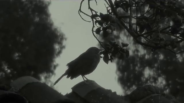 Beautiful - Sopor Aeternus & The Ensemble Of Shadows