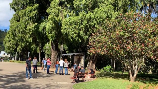 Мало ли в Бразилии Педров? История императоров Бразилии смотреть онлайн