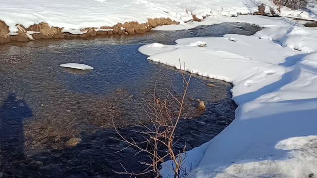 Река Шаманка в селе Шаманка смотреть онлайн