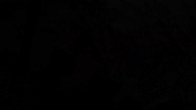 Ловкость рук: этим фокусом легко обмануть капуцинов, но игрунок — почти невозможно смотреть онлайн