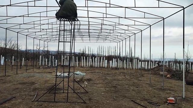 Высокая теплица , 2022 г часть 4