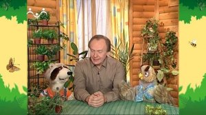 День в Шишкином Лесу. Лесные диковинки