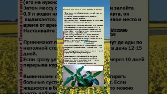 #народнаямедицина #безтаблеток #медицина #здоровье #рецепт #зож #здоров #долголетие смотреть онлайн