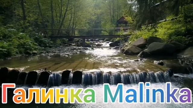 Ольга Уралочка live /Его участь решена /Обзор Влогов /Уралочка и Сафар / смотреть онлайн