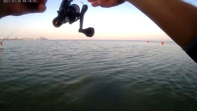 Барабулька на рассвете в проводку. Анапа. Центральный пляж. #anapa #барабулька #рыбалка смотреть онлайн