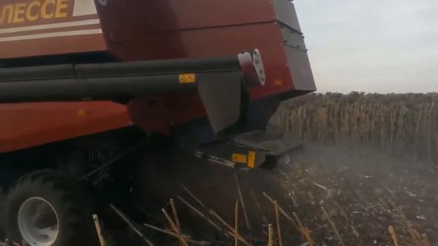 Жатка НАШ. Уборка подсолнечника комбайном Палессе GS 812. смотреть онлайн
