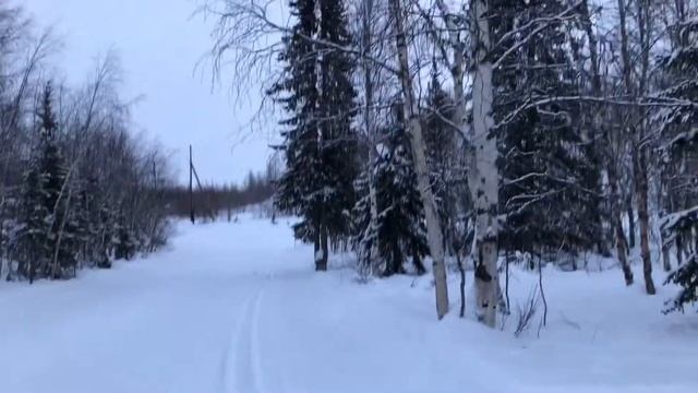 #ANRECTRAVEL/ САЛЕХАРД/ ЧАСТЬ 4 / ПОЕЗДКА НА ЛЫЖНУЮ БАЗУ смотреть онлайн