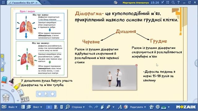 Біологія 8 клас. Процеси газообміну в легенях та тканинах