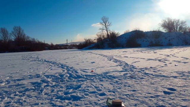 29 декабря 2020 г. смотреть онлайн