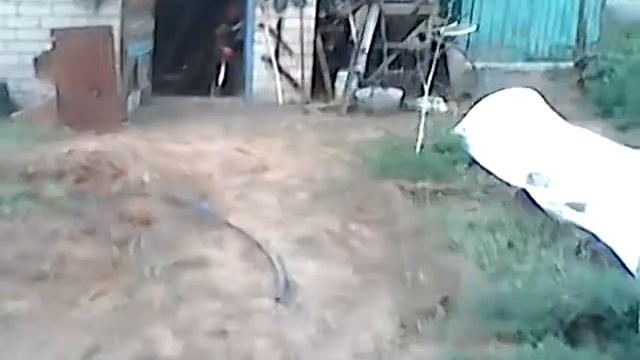 как вызвать Пиковую Даму смотреть онлайн