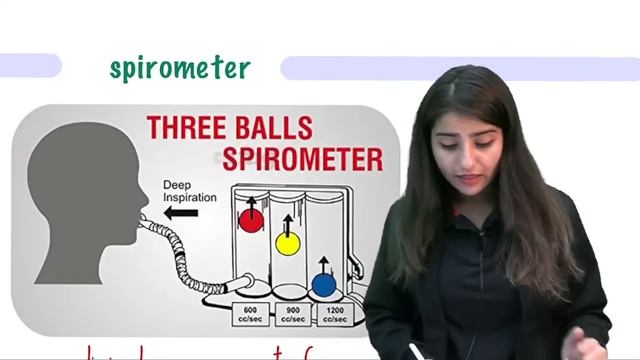 Breathing and Exchange of Gases | Nishchay Crash Course | NEET 2023 | Seep Pahuja смотреть онлайн