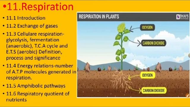 Introduction of class:- xi biology syllabus смотреть онлайн