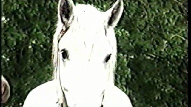 ПЕРШЕРОН (фр. percheron). смотреть онлайн