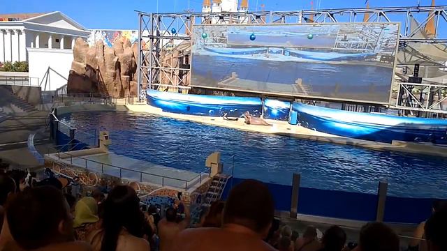 Танцующий морж на выступлении| 8(965)380-13-11 Москва