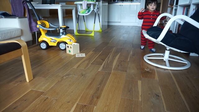 VLOG: Новая камера, Рисую и преподаю + Киран и Эльза