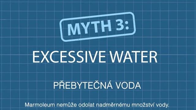 Mýty O Podlahové Krytině Marmoleum Zbořeny