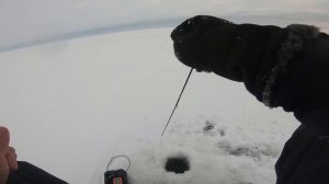 СЛЕДУЮЩИЙ ДЕНЬ ПОСЛЕ РАЗДАЧИ. ЗИМНЯЯ БЛЕСНА. ЛОВЛЯ ОКУНЯ НА САМОДЕЛЬНЫЕ БЛЕСНЫ.