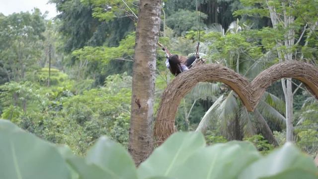 Swing Love смотреть онлайн