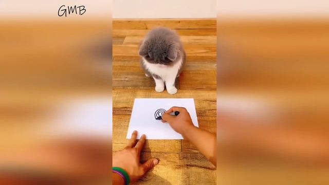 СМЕШНЫЕ И ЗАБАВНЫЕ КОШКИ / ЛУЧШИЕ ПРИКОЛЫ С КОТАМИ 2021 / СМЕШНЫЕ ДОМАШНИЕ ЖИВОТНЫЕ / FUNNY CATS