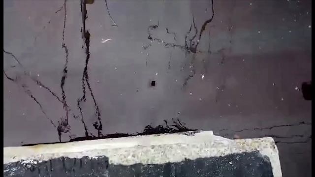 Всем насрать смотреть онлайн
