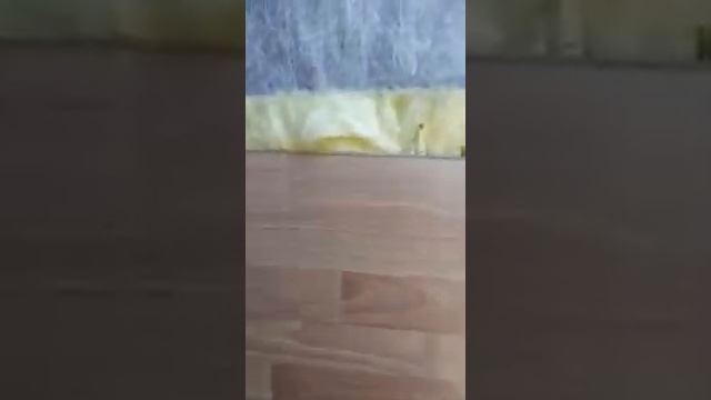 Утепление и обшивка двери ламинатом смотреть онлайн