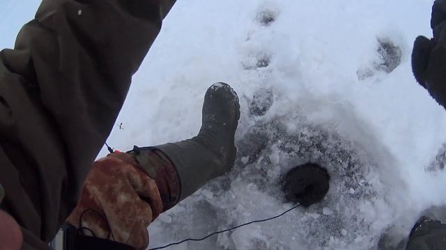 Щука на жерлицы. Отличная рыбалка.(отчет от 14.12.2016) смотреть онлайн