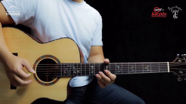 Tiger-Rogen -TG10-GA10 (All Solid) - Demo by Bryan Wong смотреть онлайн