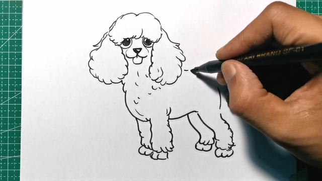 How to Draw a Poodle Dog Step by Step смотреть онлайн