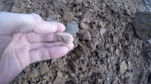 Сравнение привозного речного и  грунтового песка