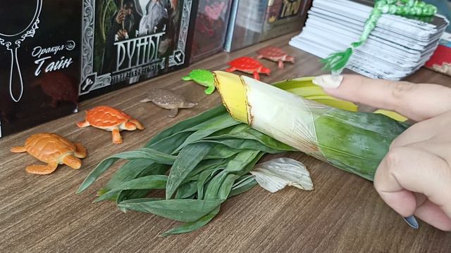 От влияний плана Смерти,Негатива и от духов 💀💀💀👻👻👻Магия трав смотреть онлайн