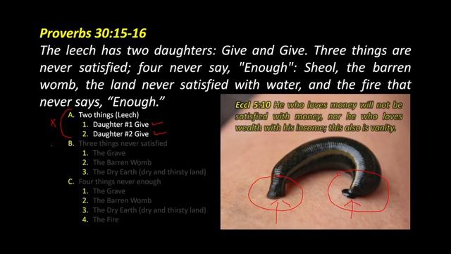 Proverbs 30:15-16 смотреть онлайн