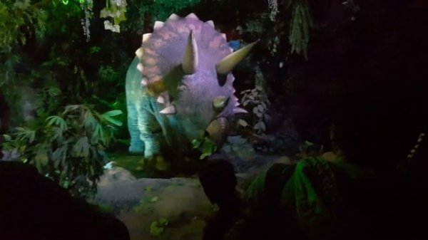 1 сентября 2018 год? #океонариумастана  AILAND ДЖУНГЛИ АСТАНА!