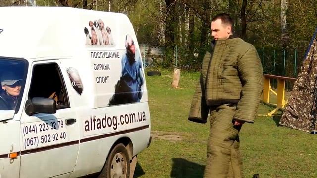 Охрана хозяина в автомобиле. Дрессировка собак. смотреть онлайн