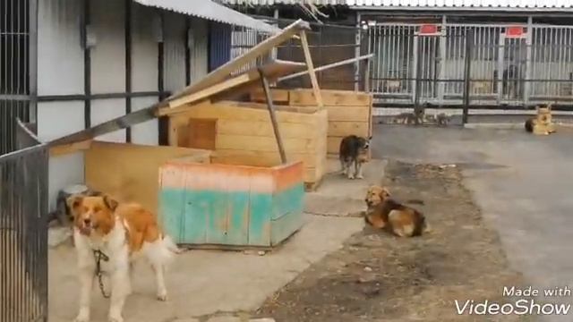 Сушим будки смотреть онлайн