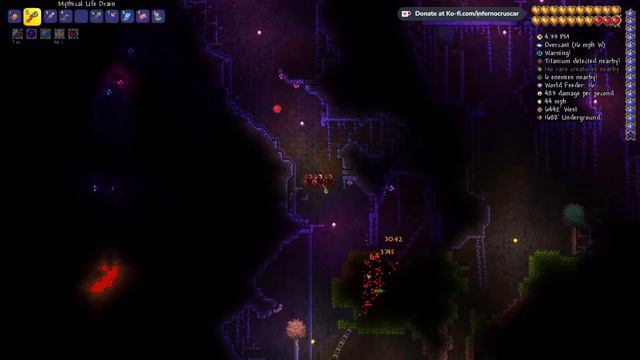 Digging My Grave in the Jungle | Terraria Collector Challenge (Mage Zenith Seed Mastermode) смотреть онлайн