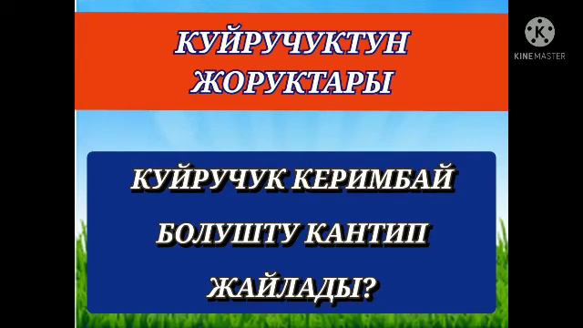 Касымалы Бектенов// Куйручук// Кукең Керимбай болуш мн Көкүмбай болушту кантип жайлады? //Аудиоките смотреть онлайн