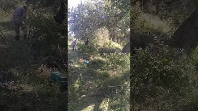 кривая балка смотреть онлайн