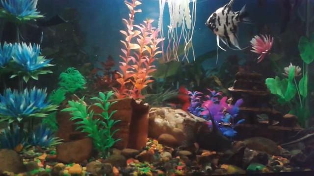 Мой аквариум 2 смотреть онлайн