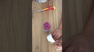 Как упаковать розу в Артеке