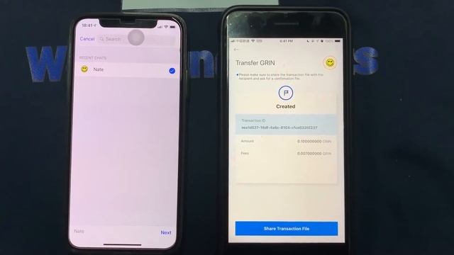 An introduction of Grin mobile wallet produced by Vite смотреть онлайн