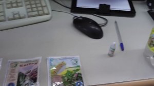 Как спасти лимон, если он сбрасывает листья?