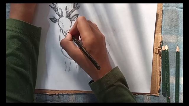 How To Draw An Antelope | Antelope Drawing | The Drawing Corner смотреть онлайн