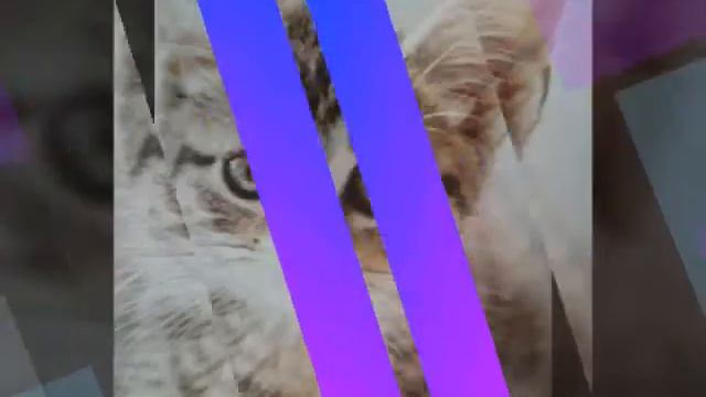 Какой ты котик по имини смотреть онлайн