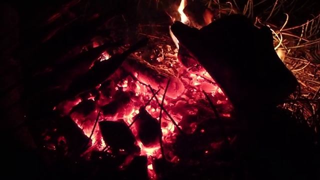 Костер. Треск костра. Огонь. Можно смотреть бесконечно! Семья Бровченко. смотреть онлайн