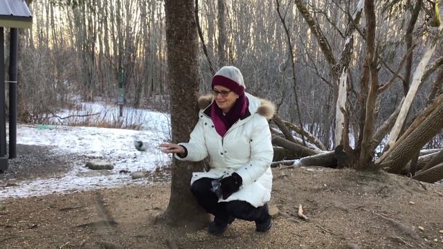St. Mary’s Got Talent | Bird Watching смотреть онлайн