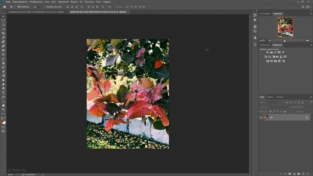 Adobe Photoshop CC 2020 / Как открыть изображение смотреть онлайн