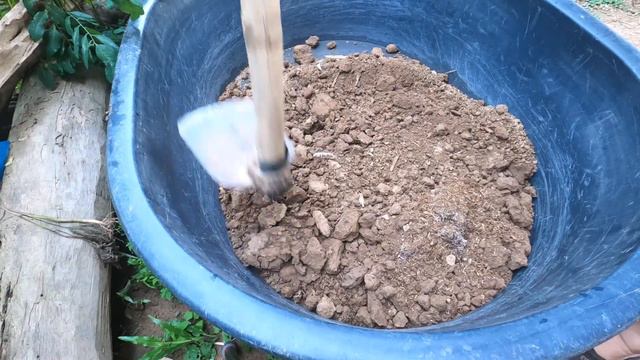 zz plant care / house plant /indoor plants смотреть онлайн